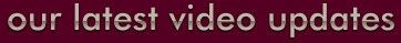Latest video updates
