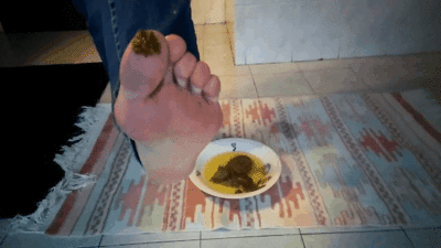 ItalScat - A Rich Plate of Warm Shit