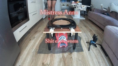 Mistress Anna Toilet - 169 Shit eater worm