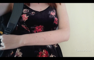 CassieScat - First Airplane Toilet Poop and LOUD flush!