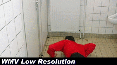 Boss Girls Productions - The toilet peeping tom (WMV Low Resolution)