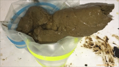Scat Goddess Amanda - Dirty Toilets Love My Loads