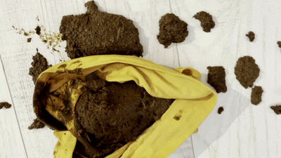 Love to Shit Girls - Poop Panties To Ruin Panties