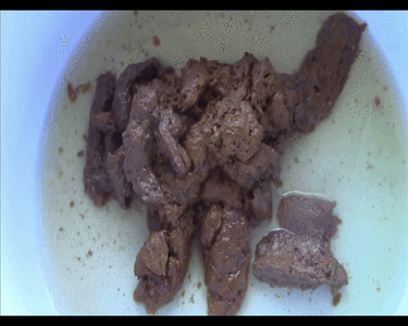 Love to Shit Girls - 2 Messy Poops 4 u
