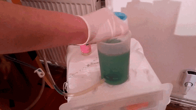 Gif Artofzoo Und