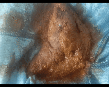Love to Shit Girls - Poop My leggings