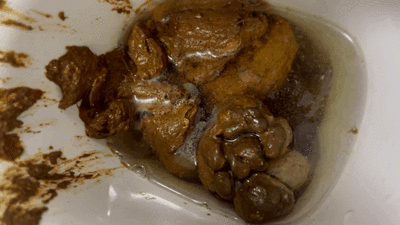 Love to Shit Girls - Birthday Poop 4 Slave