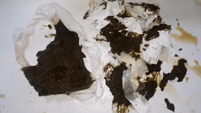 Love to Shit Girls - Ruined Huge Messy