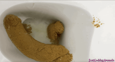 Scat Goddess Amanda - For My Toilet Bowl Slut