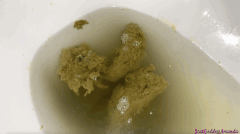 Scat Goddess Amanda - Dirty Toilet Bowls