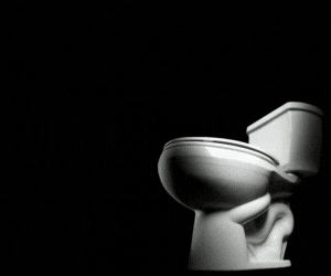 The Bathroom Chronicles - Bright and Close up on the toilet - REQUEST - The Bathroom Chronicles