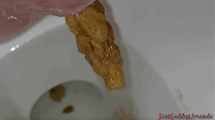 Scat Goddess Amanda - New Year Toilet Shits