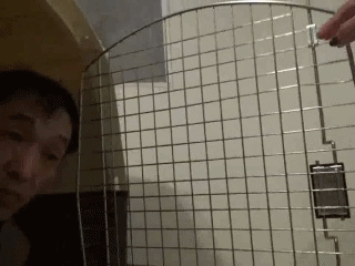 Toilet Slaves Scatology - Teatime with Obedient Human Pet! - P 1