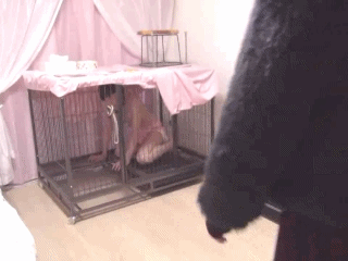 Toilet Slaves Scatology - Undisciplined Human Toilet Gruesomely Punished! - P 1