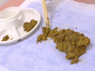 Toilet Slaves Scatology - Japanese Model’s Scat Analysis! - P 2