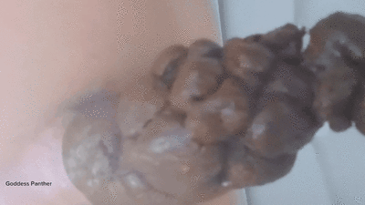 Love to Shit Girls at Yezzclips.com - Showing Item 21371
