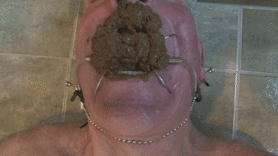 60232.gif