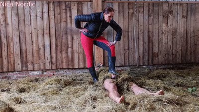 Stable slave in manure