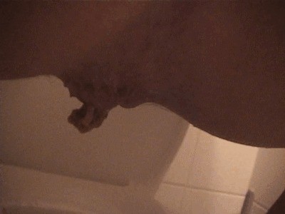 Nude amateur babe shits and piss in the toilet