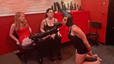 Slave is made a sissy - SD