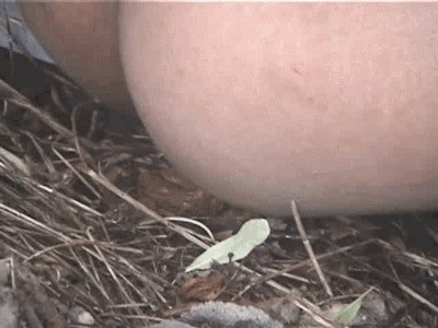 Woman spotted relieving herself outdoors in a public park — Natural Scat Girls