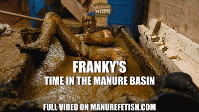 Frankys Time in the manure basin