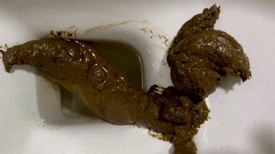 Fuck While Poop