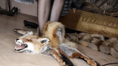 Fuck fur, squirt and pee on fur