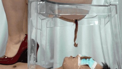 Mistresses use transparent toilets to let slaves eat their mistress's excrement. Toilet slavery (FHD)