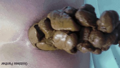 A Special Surprise for My Devoted Toilet Servant — Love to Shit Girls