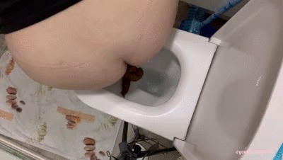 Pooping in toilet 15