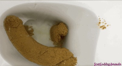 For My Toilet Bowl Slut