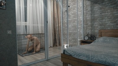 Domina Evgenia - my slave lives in a cage (Part 1)