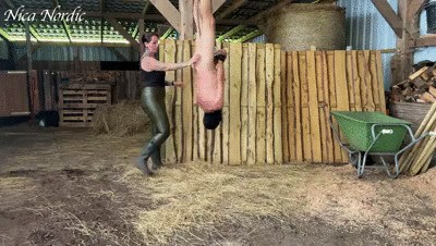 Suspended and whipped through the stable