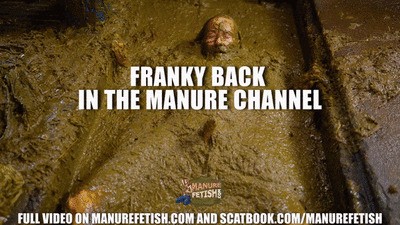 Franky Back In The Manure Channel