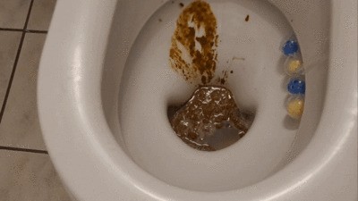 Extrem Toilet slave