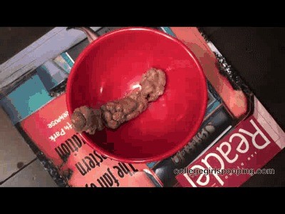 Huge fresh turd in the red bowl from college girl Ginger (HD wmv video 1280x720 Pixels 5000 kb/s)