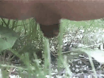 Amateur girl shits and piss on the ground