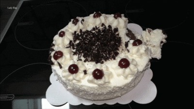 Your Perfect Sunday Cake — Lady Shay