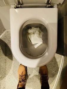 Intimate Encounters in the Lavatory