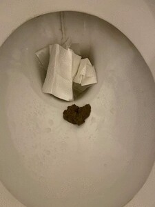 The Story of Toilet Licking