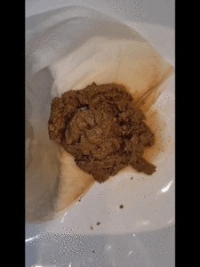 Scat Compilation 6: Intimate Bathroom Moments — Lady Shay
