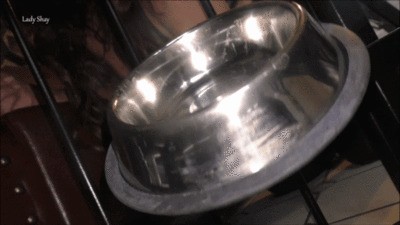Your New Life in the Cage — Lady Shay