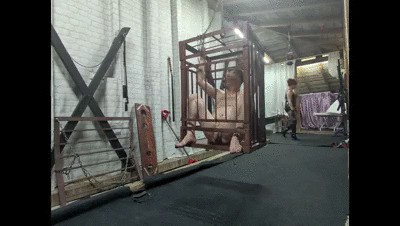 Mistress Andreea Locks Faith in an Attic Cage for Intense CBT Session — Toiletslaveanddommes