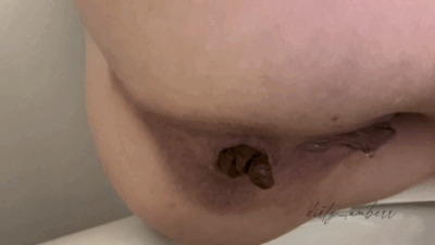 Intimate Moments: Three Toilet Excretions Up Close