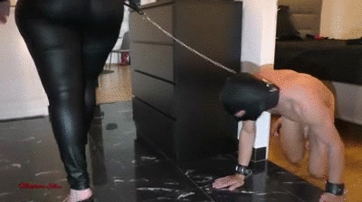 Madame Ellen: Pt.2 – A Fresh Young Slave, Bound and Caged, Discovers His First Taste of Toilet Service