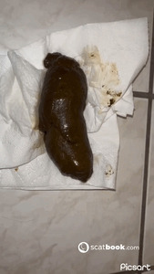 MY TURD IS BIGGER THAN YOUR DICK