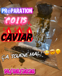 CAVIAR PARCEL 14/08/2026 — IT GOES WRONG!
