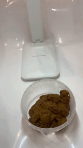 Wypróżnianie się w plastikowym pojemniku — LadyVikkiWet