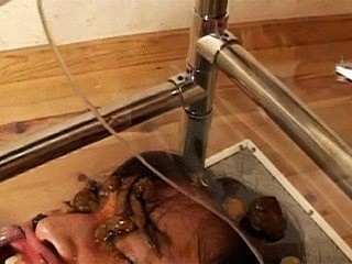 Pathetic Human Toilet Lives for Eating Shit!  - Part 1